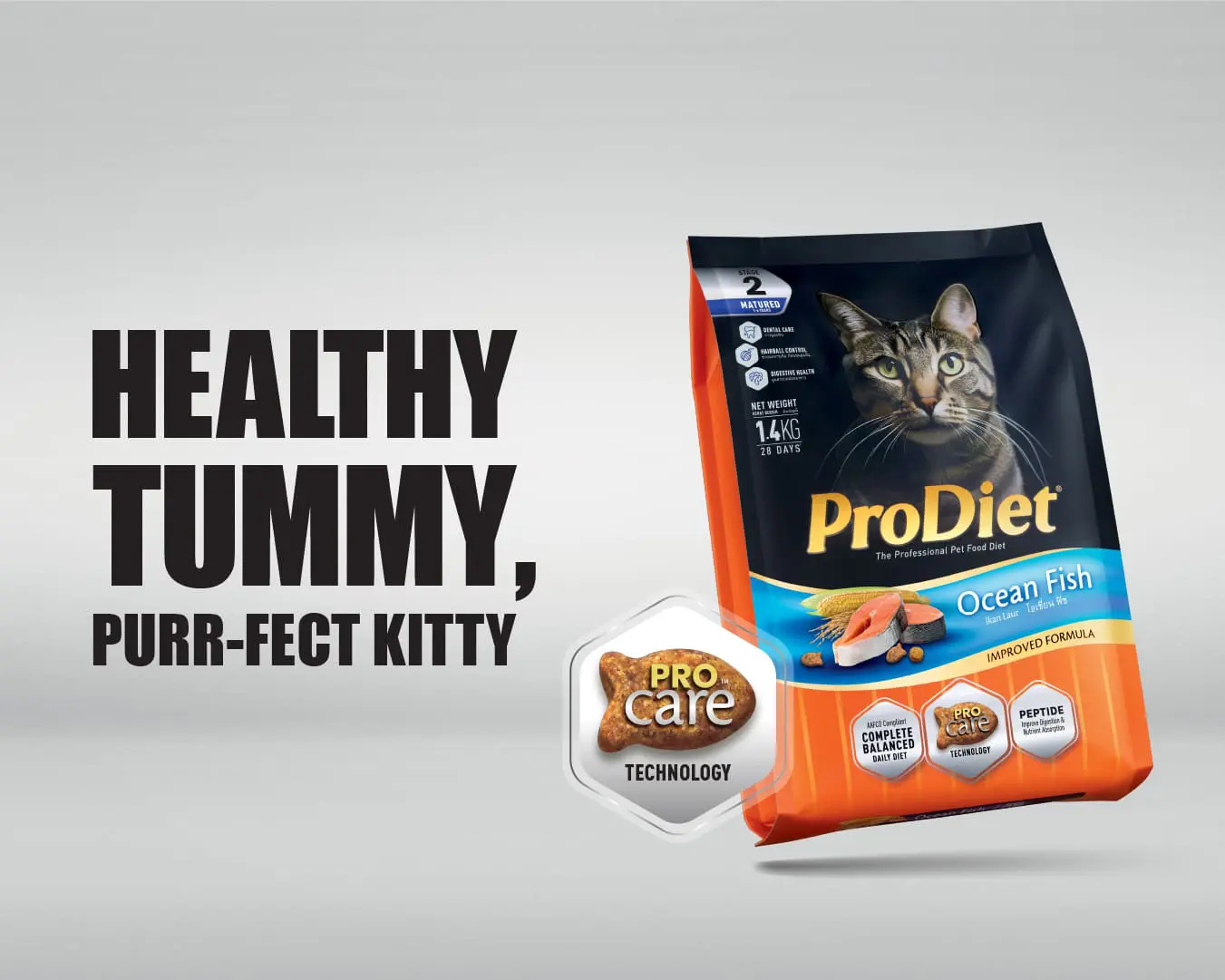 Flying Cats? Here’s What’s Happening And Why Your Cat Could Be Next - ProDiet