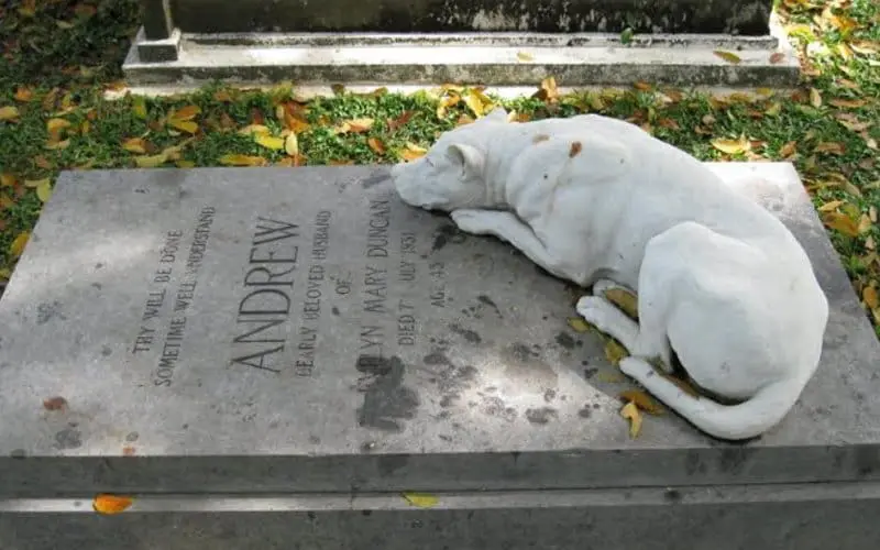 Western Road Cemetery