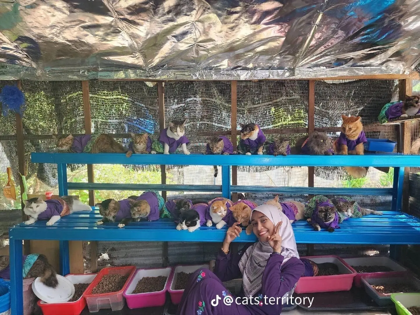 Penang Woman Makes Matching Raya Outfits For Her 61 Cats And It's Guaranteed To Make You Melt 6