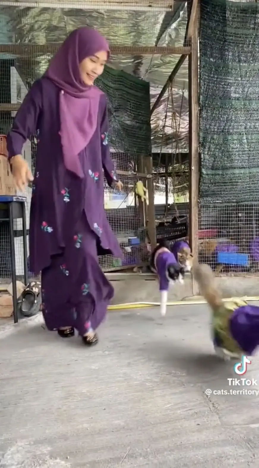 Penang Woman Makes Matching Raya Outfits For Her 61 Cats And It's Guaranteed To Make You Melt 9