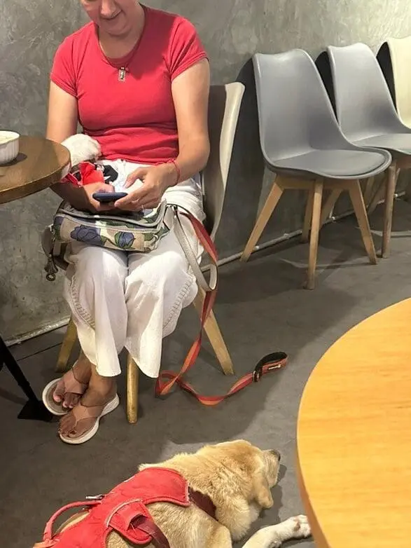 Pet cafe customers