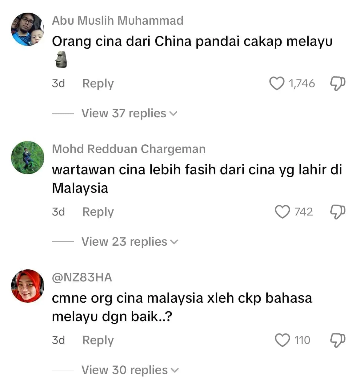 Wartawan china fasih berbahasa melayu
