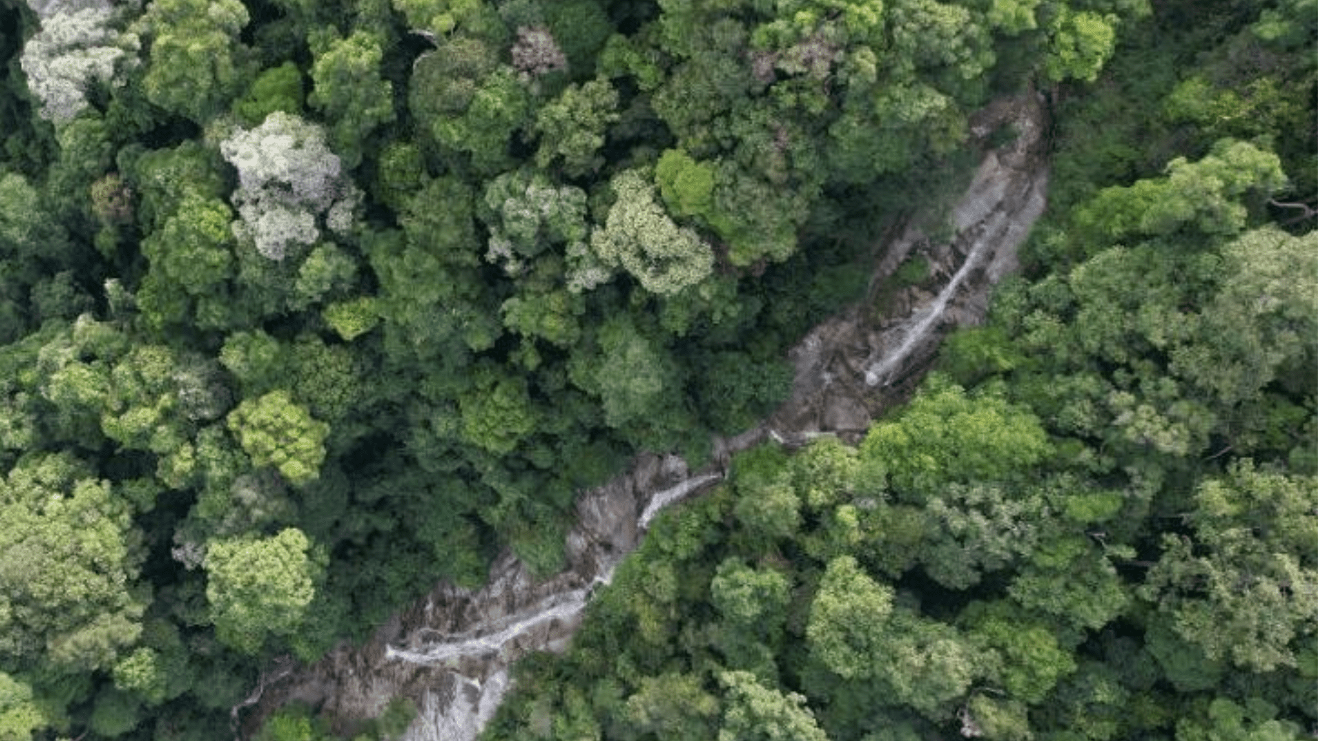 MY Malaysia Ultra Run Trail 