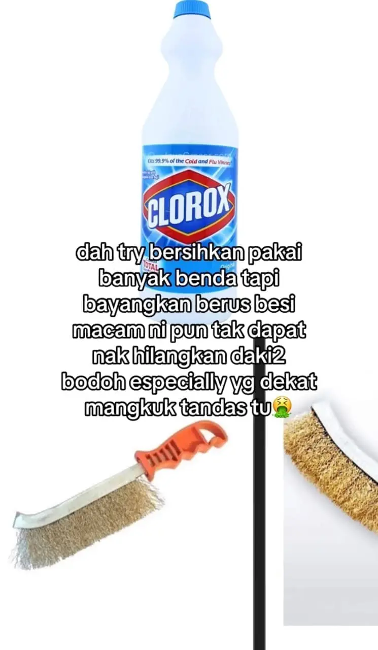 photo of clorox and brush