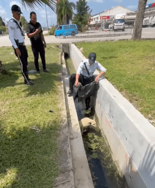 Police saving dog trapped in drain Screenshot 2025-02-07 154932