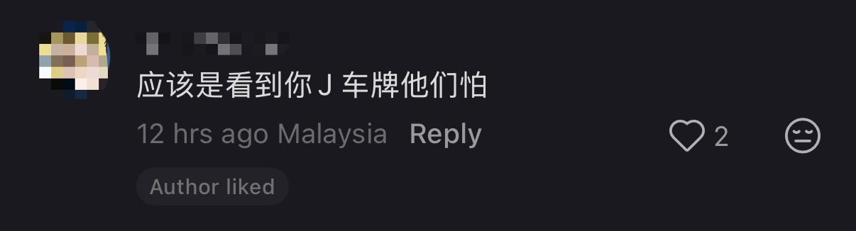 'You Sure?' — Johorian Says Penang Drivers Are 'Polite' But Netizens Aren't Convinced comment 3