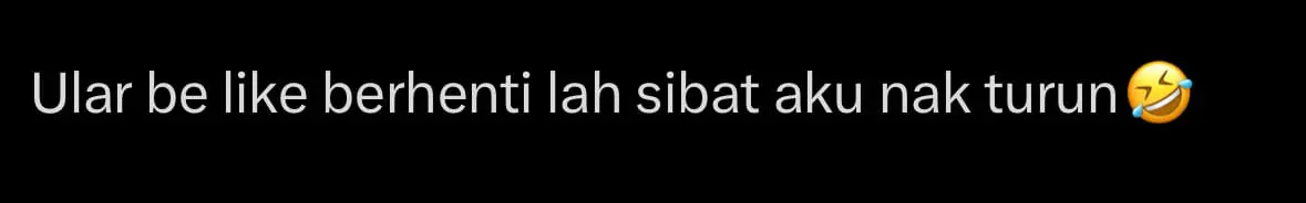 Python Casually Slithers On Top Of Perodua Axia comment