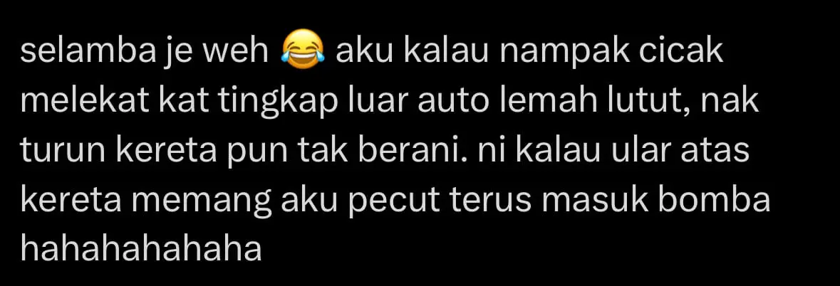 Python Casually Slithers On Top Of Perodua Axia comment