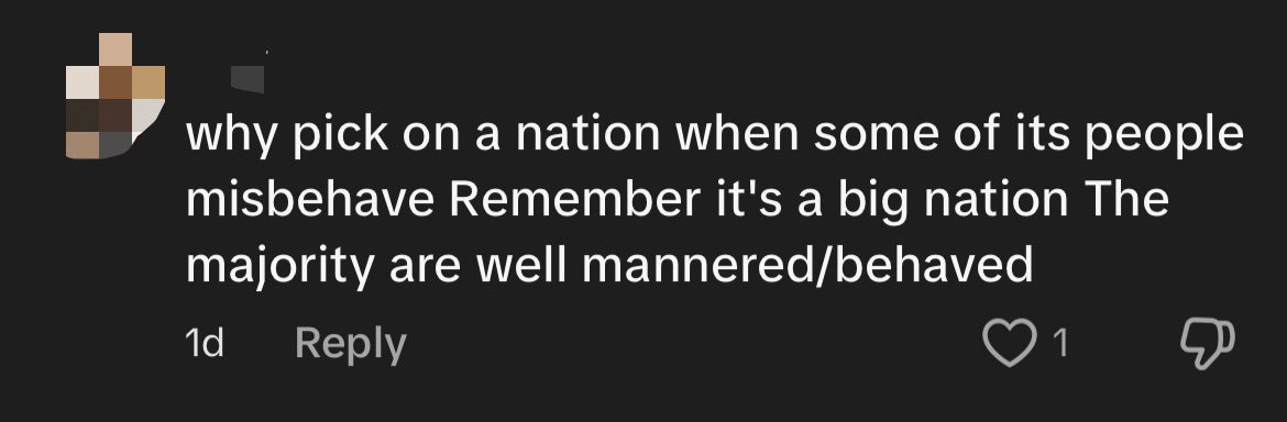 'S'pore Wouldn't Exist Without China' - Woman Retorts After She Allegedly Cuts Queue At Universal Studios S'pore comment 3
