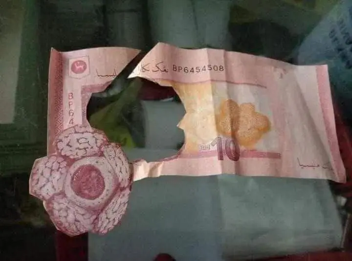 rafflesia flower been cut out from RM10 bank note
