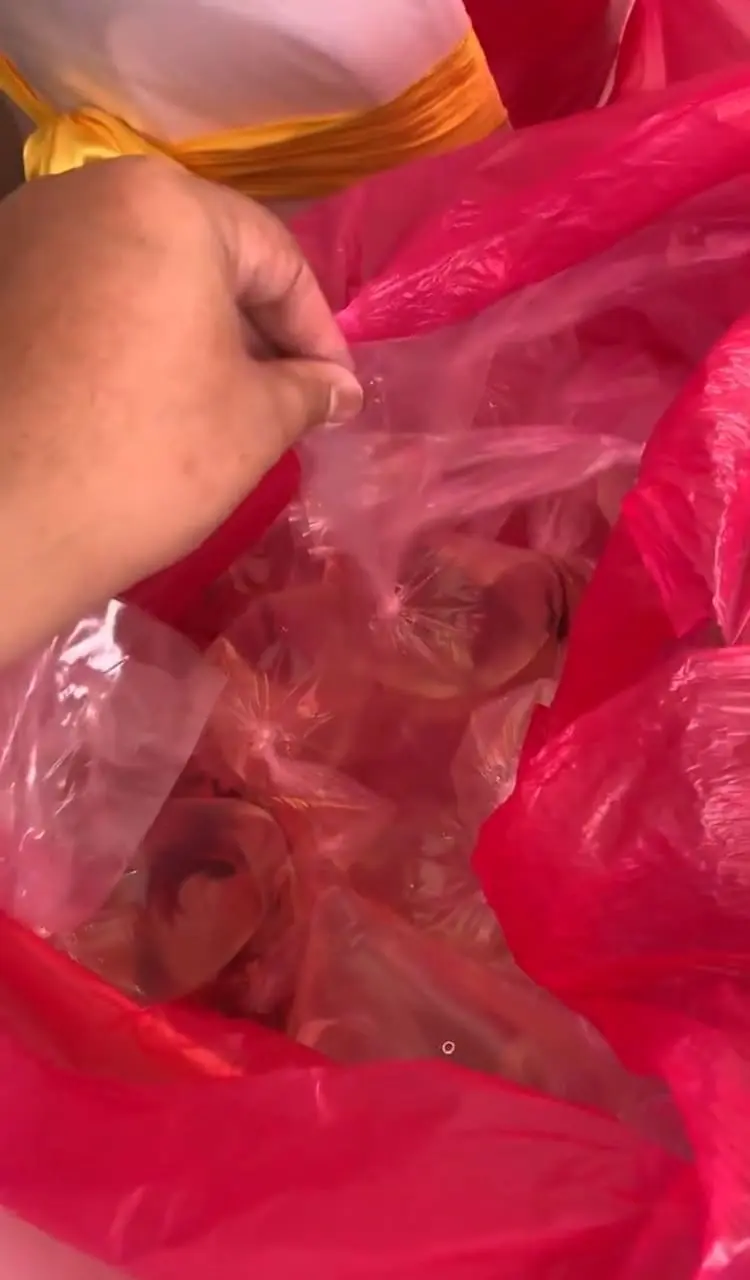 red plasred plastic abg fileld with fish packetstic abg fileld with fish packets