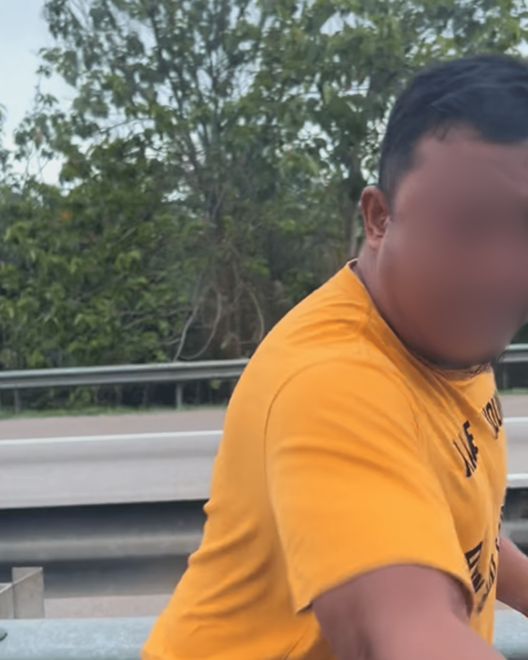 Road rage driver attempt to open door