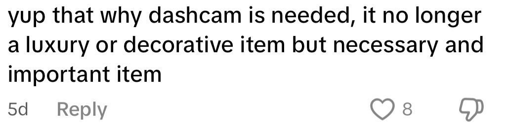 rooster flies into windshield dashcam