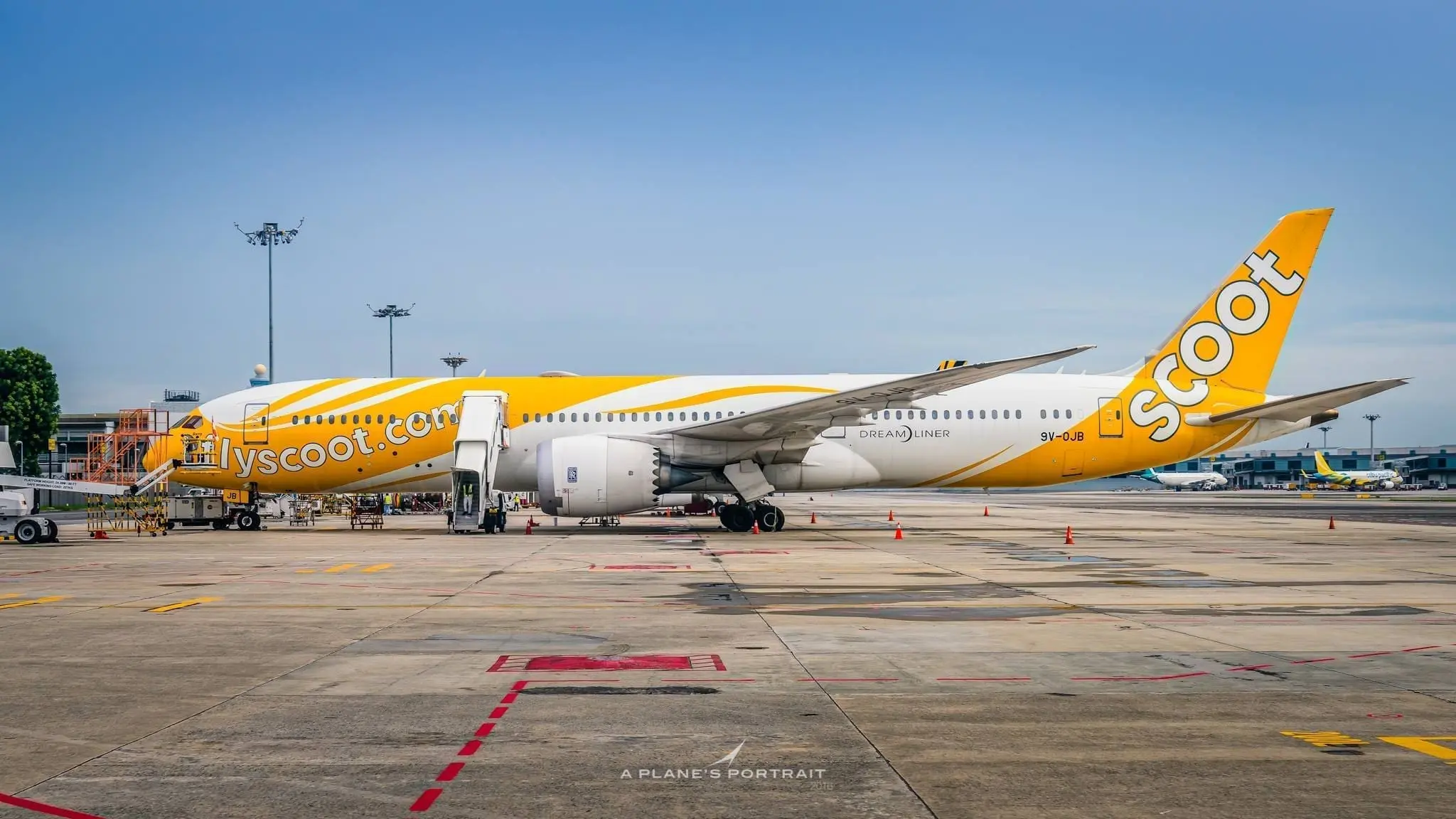 Scoot plane at the runway