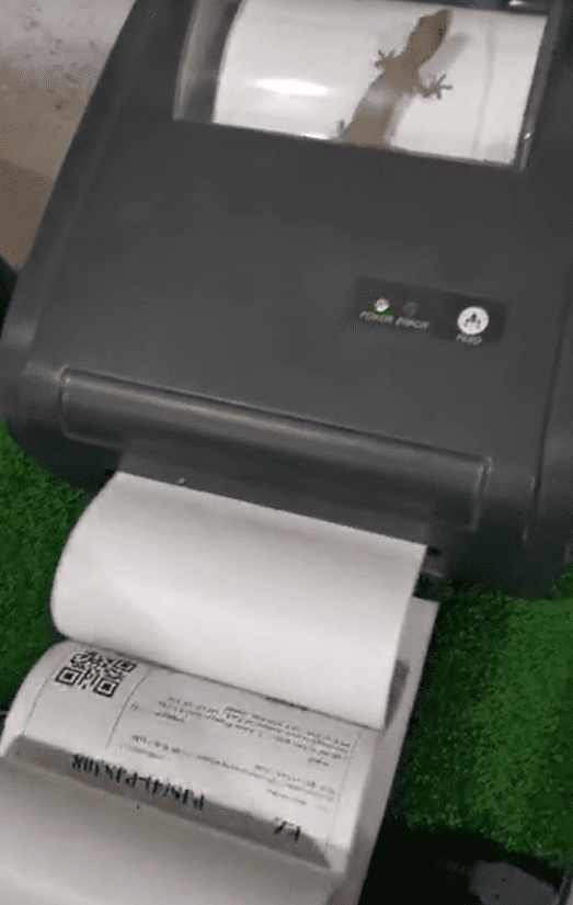 Lizard Gets Trapped Inside Printer And 'Sweats' It Out By Running On Paper Like A Treadmill