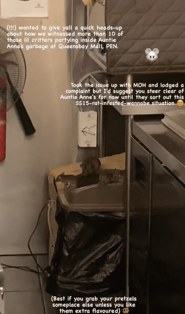 Rats Spotted Loitering At Popular Pretzel Shop In Penang Mall, Company Apologises