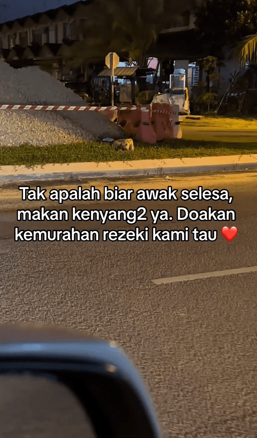 M'sian Woman Praised For Feeding Fried Chicken To Hungry Stray Dog