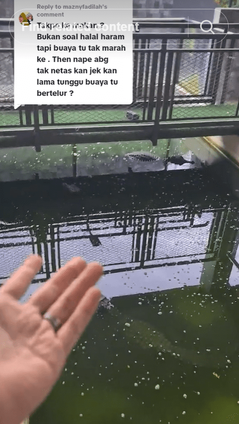 Malaysian man has crocodile as his pet