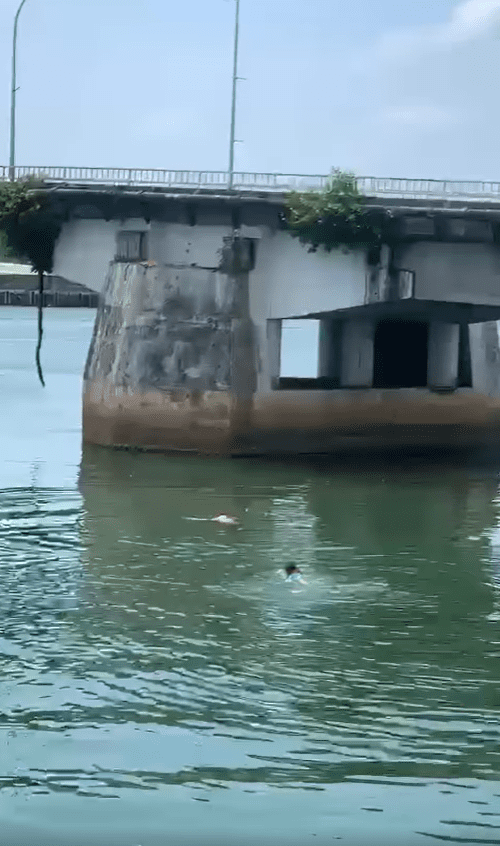 M'sian Teen Almost Drowns While Trying To Save Suicidal Man Who Jumped Off Bridge In Johor
