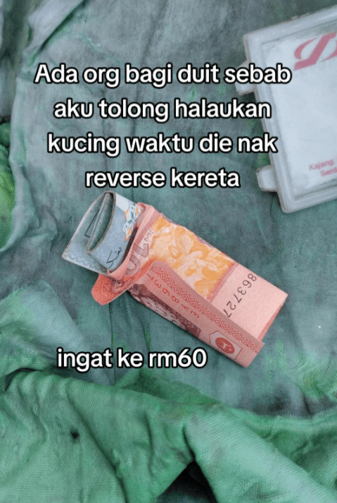 M'sian Delivery Rider Saves Cat From Reversing Car, Driver Rewards Him With RM110 For Good Deed