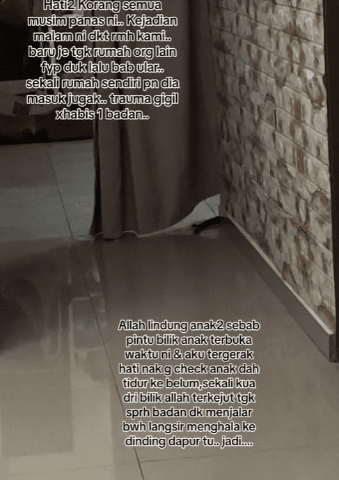 M'sian Mum Saves 4 Sleeping Kids from Cobra That Invaded Their House At Midnight