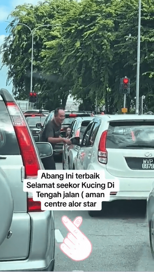 M'sian Police Officer Praised For Saving Kitten Trapped On A Myvi's Tyre