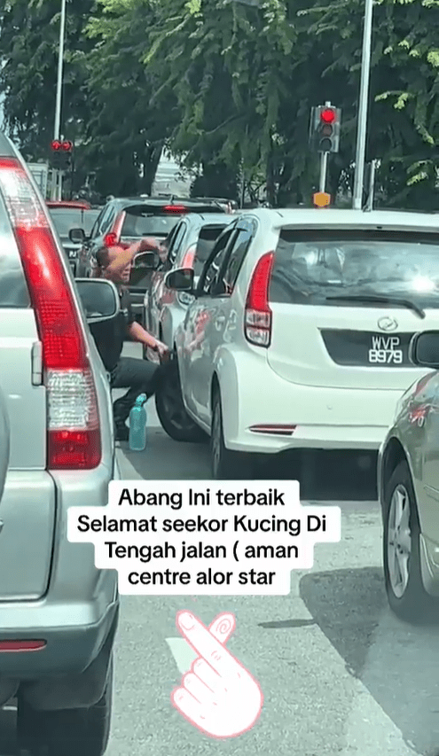 M'sian Police Officer Praised For Saving Kitten Trapped On A Myvi's Tyre