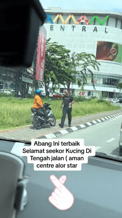 M'sian Police Officer Praised For Saving Kitten Trapped On A Myvi's Tyre