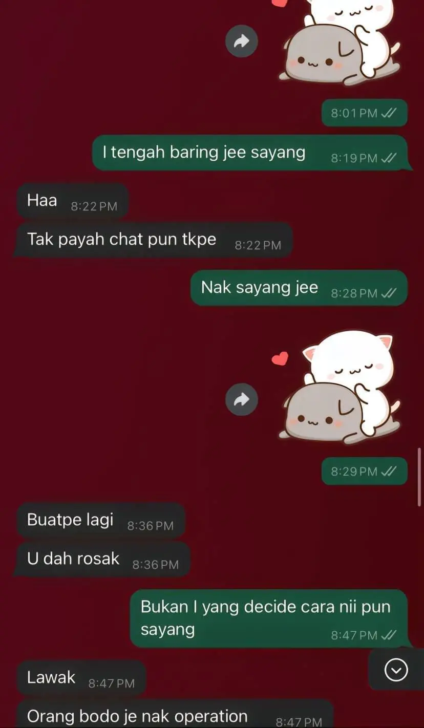 screenshot of a whatsapp chat - 2