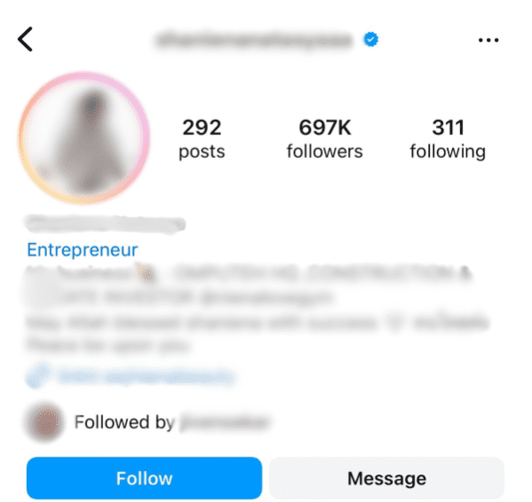 Screenshot of an Instagram profile