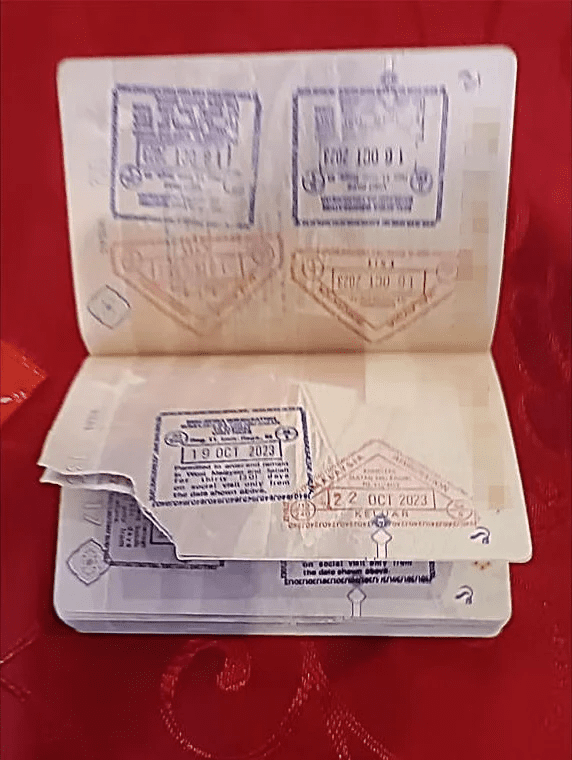 SG woman's torn passport