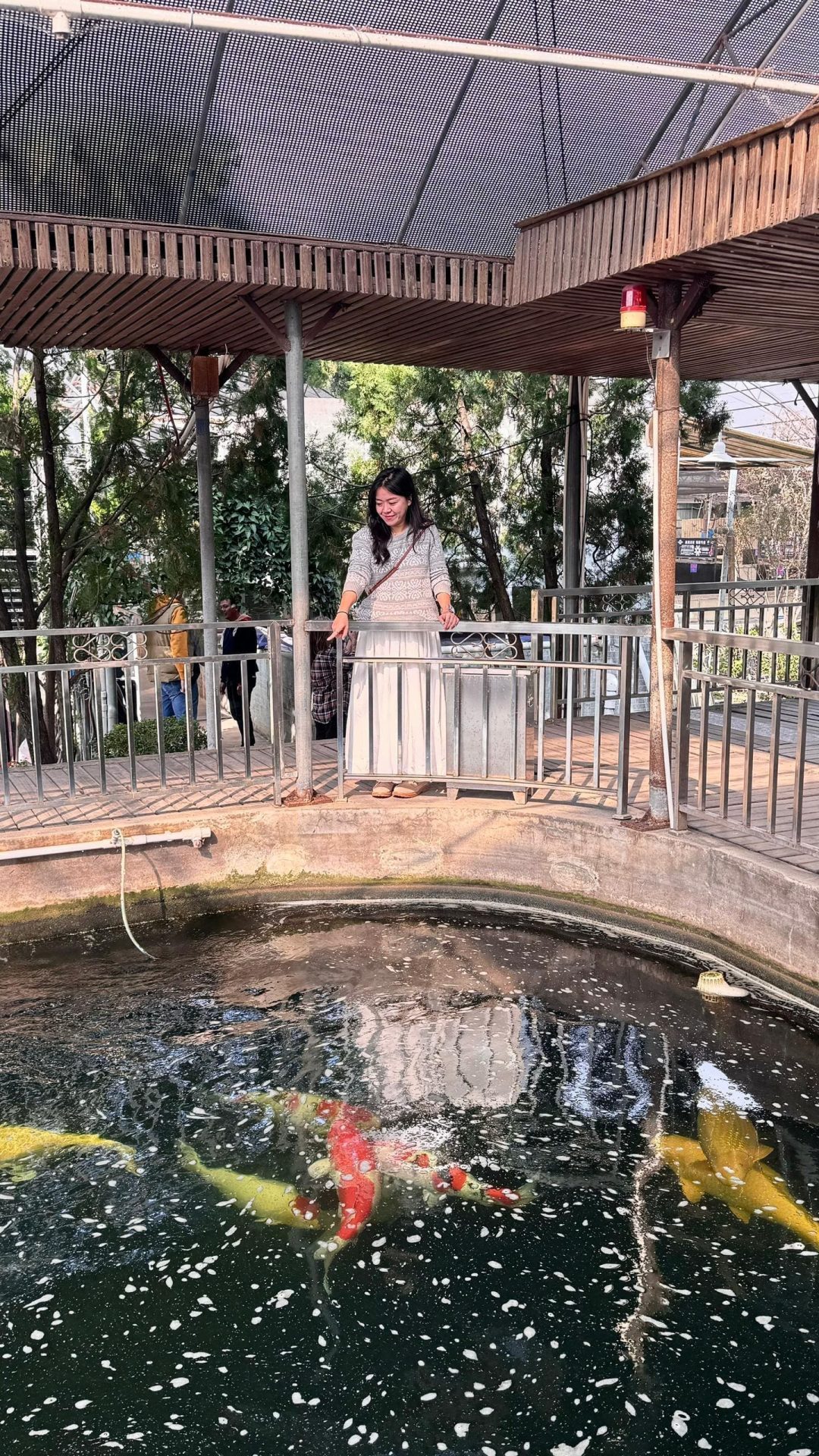 Sim and Koi fish pond