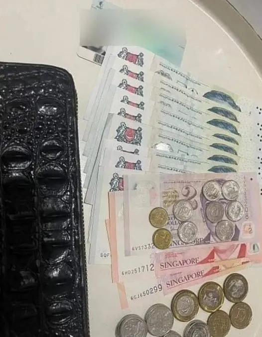 Singapore Dollar in the wallegt