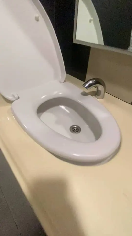 sink in a washroom looking like a toilet bowl