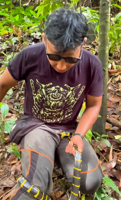 Snake latched on men crouches Screenshot 2025-01-25 142829 (3)