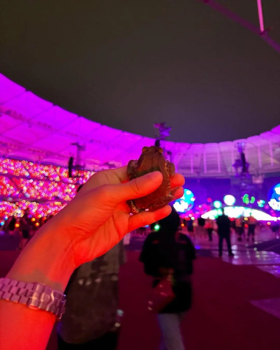 Joey showing the surrounding of the Coldplay concert to the frog