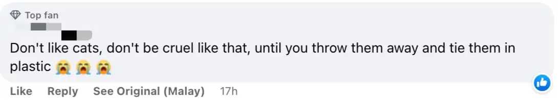 'So Cruel!' - Newborn Kittens Found Wrapped In A Bag And Thrown Into River In Penang comment 01