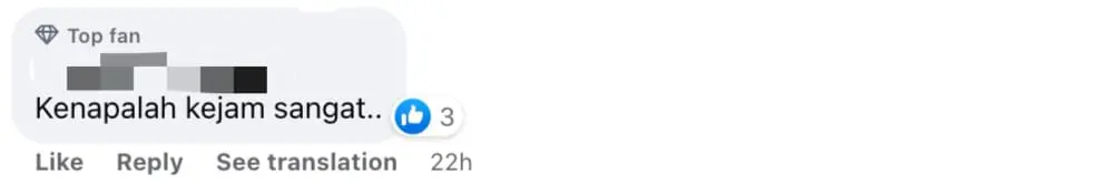 'So Cruel!' - Newborn Kittens Found Wrapped In A Bag And Thrown Into River In Penang comment 03