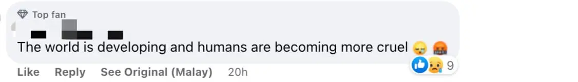 'So Cruel!' - Newborn Kittens Found Wrapped In A Bag And Thrown Into River In Penang comment 04