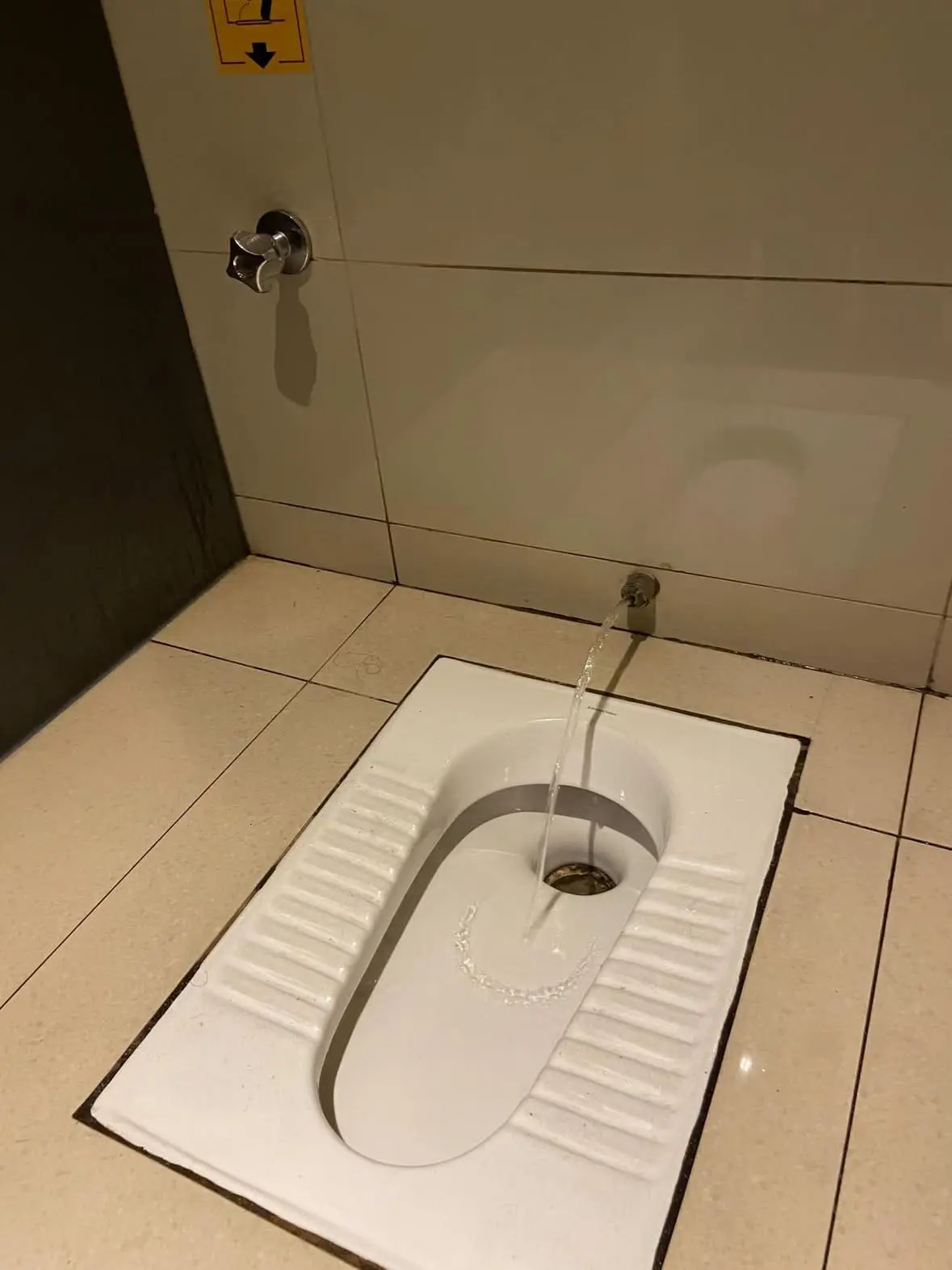 squat toilet