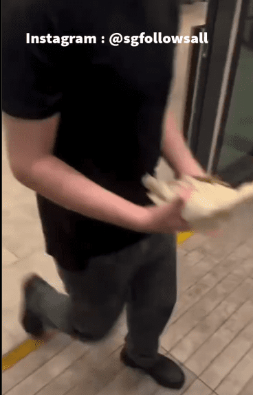 Staff catch chicken in Sinapore MCD (1)