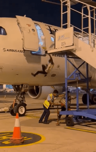 Staff fall from the plane