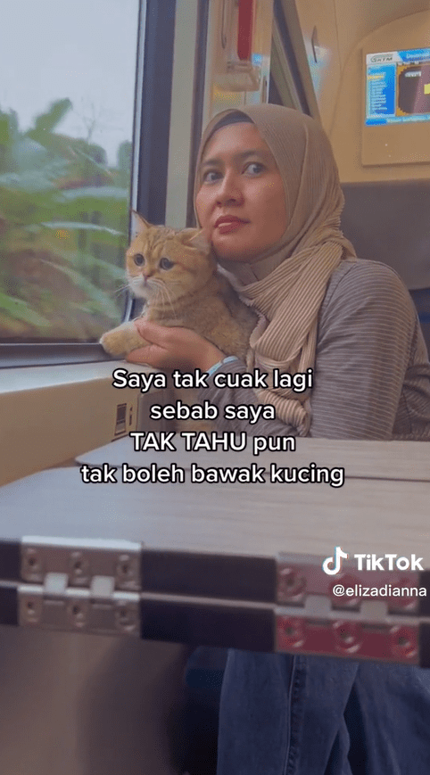 M'sian Woman Brings Cat On KTM Train Ride, Gets Bashed For Breaking 'No Pets' Rule