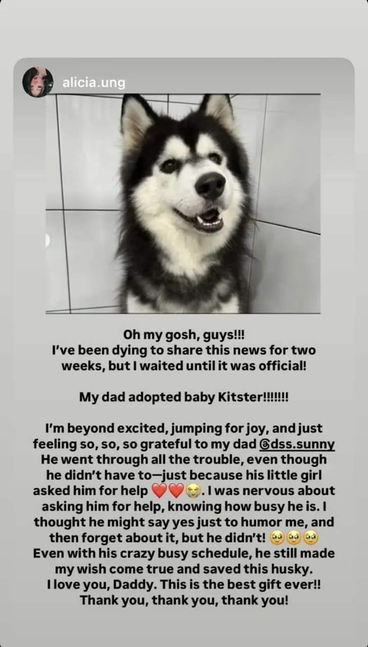 Sunny Ung's daughter reacts to Kitster adoption