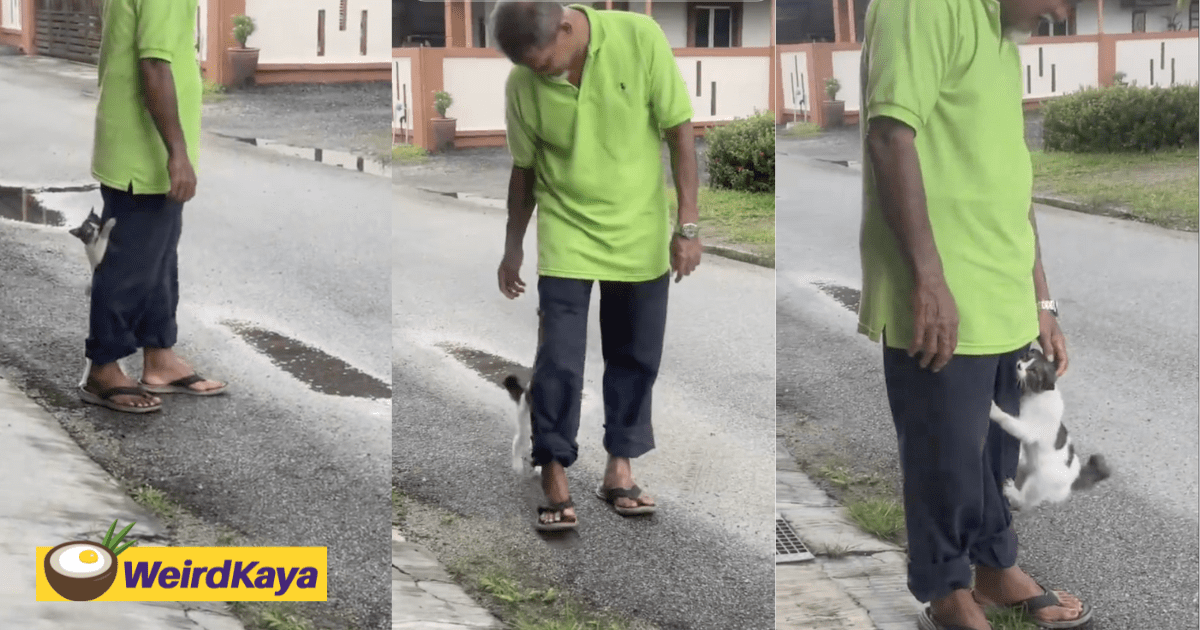 Super Clingy Cat Refuses To Let Go Of Uncle, Netizens Joke It’s Securing A Spot On The Land Title