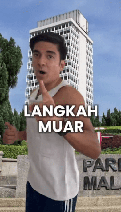 syed saddiq and his 'langkah maur' movement