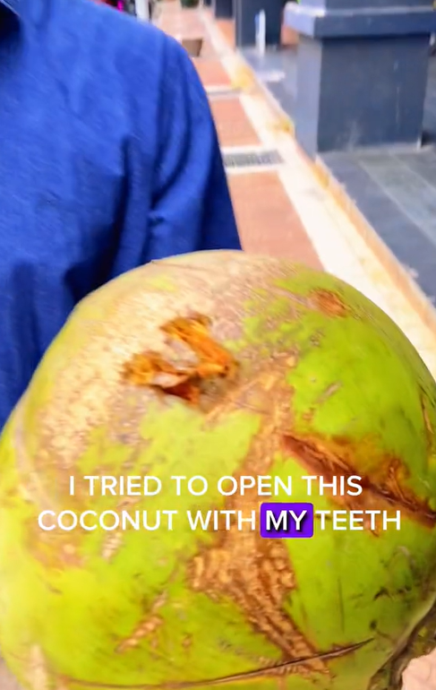 Mat Salleh Tries To Open Coconut With His Teeth In M'sia But Ends Up Cracking It
