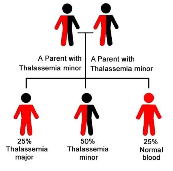 Children with likelihood of inheriting thalassemia