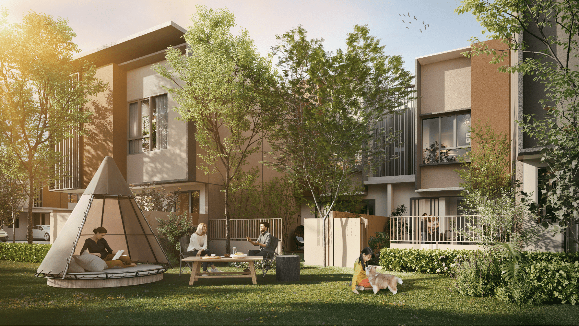 The Clove illustration