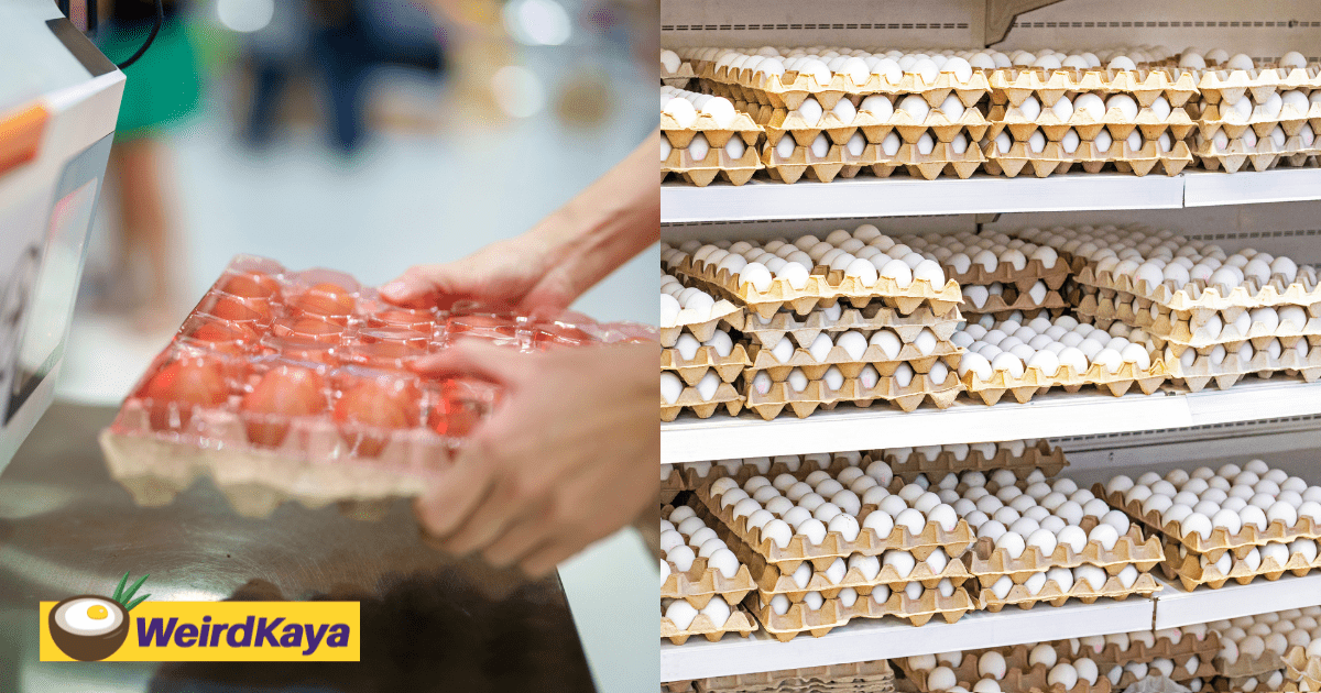 The Food Purveyor Wins Praise For New Goal To Sell 100% Cage-Free Eggs by 2035